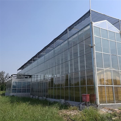 Rumah Kaca Multi Span Venlo Glass Dengan Hidroponik Seedbed Untuk Tomat Strawberry