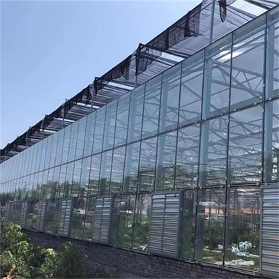 Kaca Multi Span Rumah Kaca Tropis Bunga Hidroponik Surya Tumbuh Sayuran