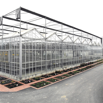 Pertanian Kaca Rumah Kaca Bunga Industri Outdoor Kaca Multispan Profesional Rumah Kaca Belanda Untuk Penanaman Bunga