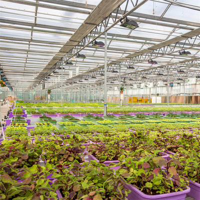 Lengkap Sayuran Menanam Multi-bentang Rumah Kaca Kaca Fiberglass Rumah Kaca Pertanian