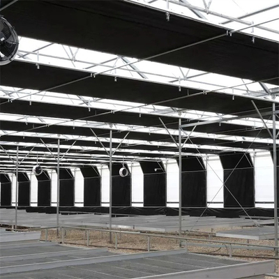 Proyek Turnkey Usa Tunnel Otomatis Pemadaman Rumah Kaca Tanaman Pertanian Tumbuh