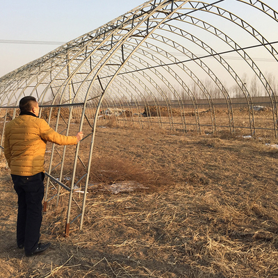 Peternakan Unggas Digunakan Rumah Kaca Hangat Plastik Pertanian Melindungi Dari Hujan