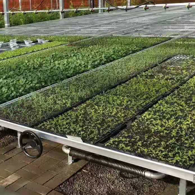 Sayuran Ebb And Flow Tray Tempat Pembibitan Rumah Kaca Rolling Benches