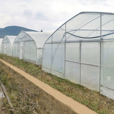 Sistem Pendingin Kontrol Iklim Komersial Rumah Kaca Terowongan Tunggal Untuk Pertanian Pertanian