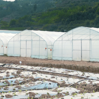 Sistem Pendingin Kontrol Iklim Komersial Rumah Kaca Terowongan Tunggal Untuk Pertanian Pertanian