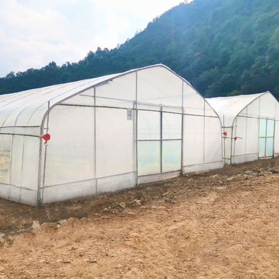 Grosir Rumah Kaca Cina Harga Pabrik Pembuatan Singlespan Pertanian Hidroponik Rumah Kaca