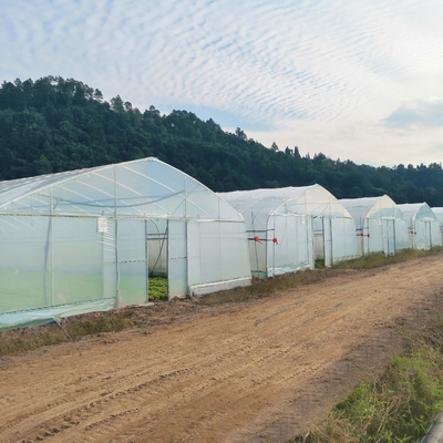 Sistem Hidroponik Konstruksi Rumah Kaca Pertanian Film Plastik Bentang Tunggal Dijual
