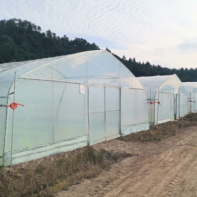 Poly Tunnel Single Layer UV Protected Polyethylene Plastik Rumah Hijau Untuk Pertanian