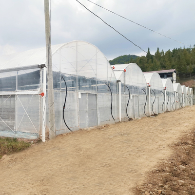 Turnkey Projects Memasang Rumah Kaca Film Plastik Hidroponik Komersial Multi-bentang Rumah Kaca Pertanian
