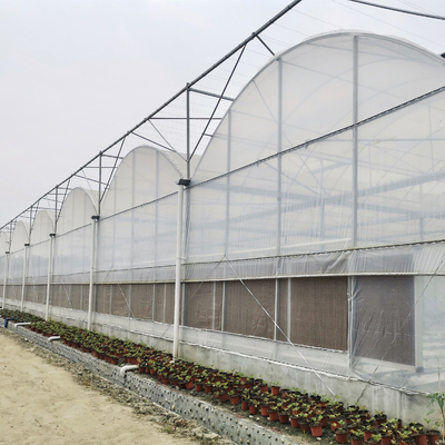 Terowongan Lengkungan Film Poli Komersial Besar Multispan Type Tomato Hydroponics Greenhouse