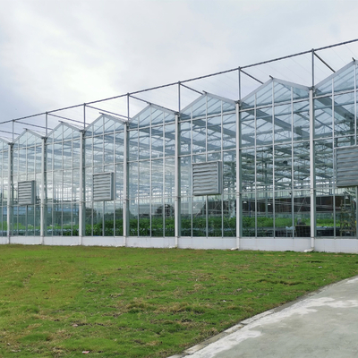 Rumah Kaca Pertanian Multi-rentang Venlo Rumah Kaca Kaca Tempered Dengan Sistem Penanaman Hidroponik