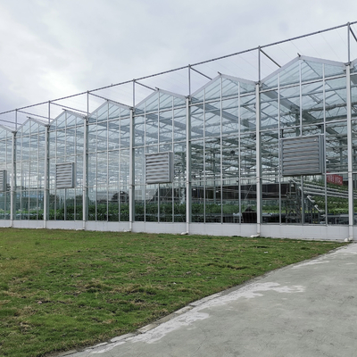 Sistem Pemanasan Serra Di Vetro Multi-Span Greenhouse Venlo Greenhouse Spare Parts Venlo Glass Winter Greenhouse