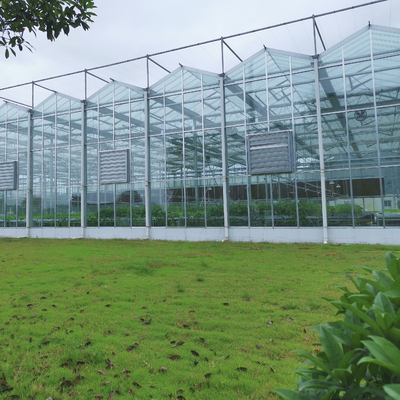 Sistem Pemanasan Serra Di Vetro Multi-Span Greenhouse Venlo Greenhouse Spare Parts Venlo Glass Winter Greenhouse