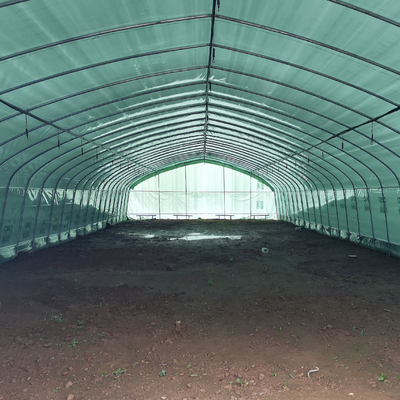 Double Layer Single Span Greenhouse Budidaya Jamur Jaring Hitam Di Rumah Kaca