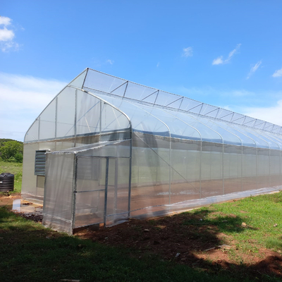 kinerja tinggi High Tunnel Sawtooth Greenhouse Agricultural ISO9001