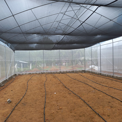 kinerja tinggi High Tunnel Sawtooth Greenhouse Agricultural ISO9001