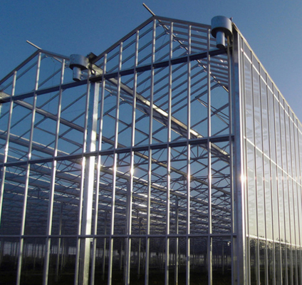 Polycarbonate Hollow Board Glass Industrial Outdoor Multispan Glass Profesional Rumah Kaca Belanda Untuk Menanam Bunga