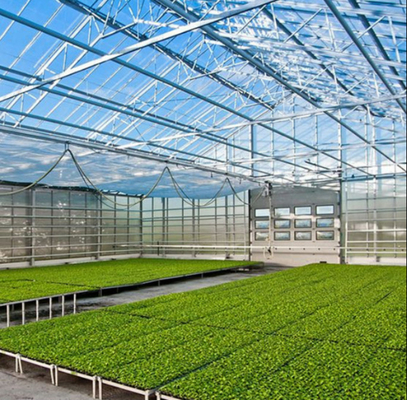 Polycarbonate Hollow Board Glass Industrial Outdoor Multispan Glass Profesional Rumah Kaca Belanda Untuk Menanam Bunga