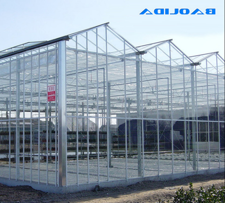 Polycarbonate Hollow Board Glass Industrial Outdoor Multispan Glass Profesional Rumah Kaca Belanda Untuk Menanam Bunga