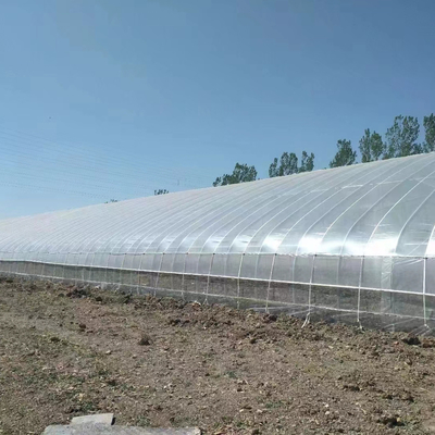Plastik Film Solar Passive Greenhouse Dengan Dukungan Pengumpulan Air Hujan