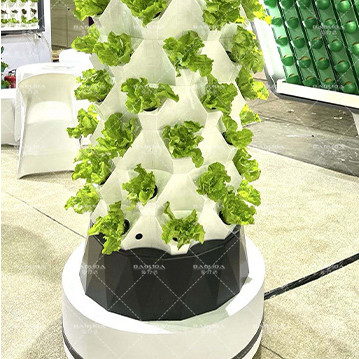 100L 6 8 10 12 Lapisan Pertanian vertikal Hydroponic Airoponic Menara Pertanian Untuk Strawberry