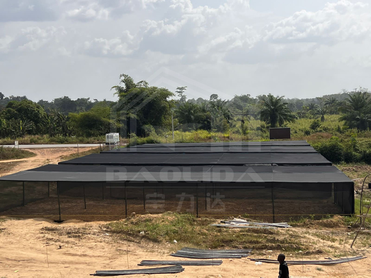 Ukuran Lager Murah Ventilasi Daerah Tropis Jaring Plastik Bentuk persegi panjang Rumah kaca dengan Jaring Bayangan