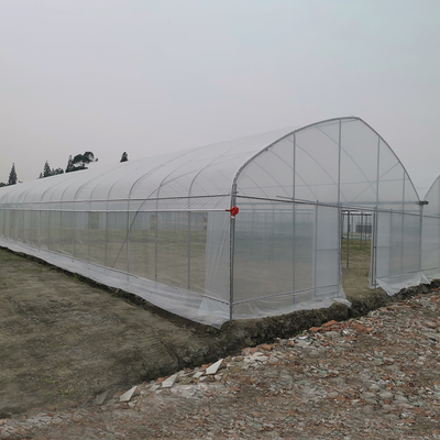 Angin tahan UV Net House Greenhouse Pengontrol Lingkungan Multi-span Greenhouses