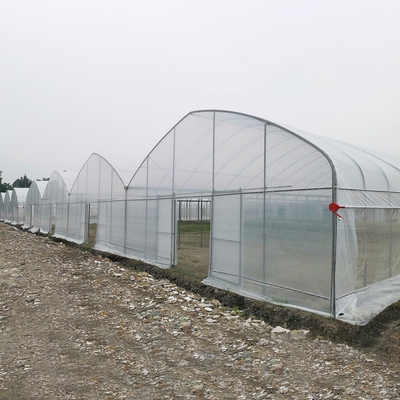 Angin tahan UV Net House Greenhouse Pengontrol Lingkungan Multi-span Greenhouses