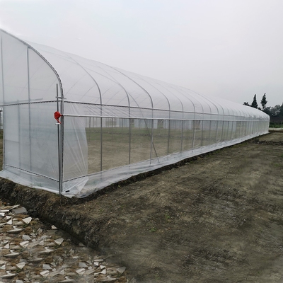 Angin tahan UV Net House Greenhouse Pengontrol Lingkungan Multi-span Greenhouses