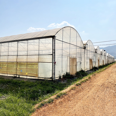 Angin tahan UV Net House Greenhouse Pengontrol Lingkungan Multi-span Greenhouses