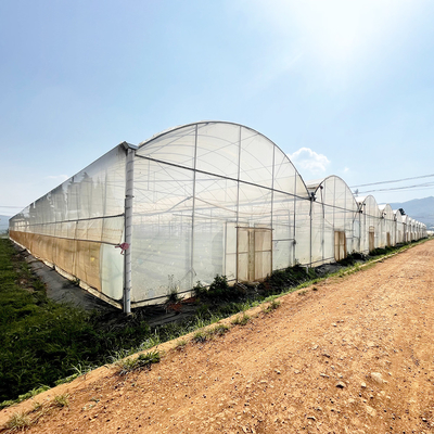 Angin tahan UV Net House Greenhouse Pengontrol Lingkungan Multi-span Greenhouses