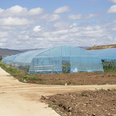 Hot Sale Poly Tunnel Strawberry Greenhouse Pertanian Single-span Greenhouse Untuk Pertanian Strawberry