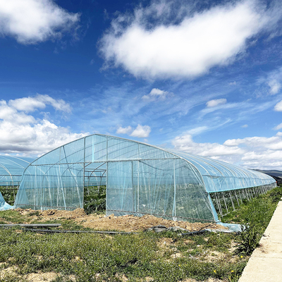 Hot Sale Poly Tunnel Strawberry Greenhouse Pertanian Single-span Greenhouse Untuk Pertanian Strawberry