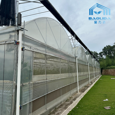 Smart Galvanized Tube Steel Pipe Tomato Plastic Film Arch Greenhouse Pertanian Multi-span Greenhouse Untuk Dijual
