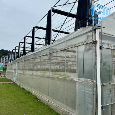 Smart Galvanized Tube Steel Pipe Tomato Plastic Film Arch Greenhouse Pertanian Multi-span Greenhouse Untuk Dijual