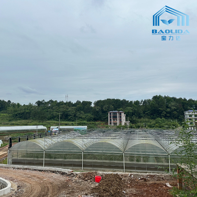 Smart Galvanized Tube Steel Pipe Tomato Plastic Film Arch Greenhouse Pertanian Multi-span Greenhouse Untuk Dijual