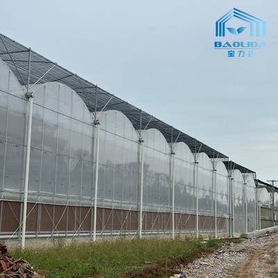 Smart Galvanized Tube Steel Pipe Tomato Plastic Film Arch Greenhouse Pertanian Multi-span Greenhouse Untuk Dijual