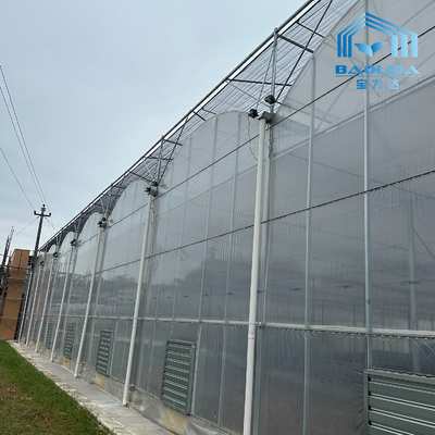 Smart Galvanized Tube Steel Pipe Tomato Plastic Film Arch Greenhouse Pertanian Multi-span Greenhouse Untuk Dijual