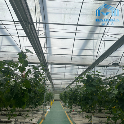 Smart Galvanized Tube Steel Pipe Tomato Plastic Film Arch Greenhouse Pertanian Multi-span Greenhouse Untuk Dijual