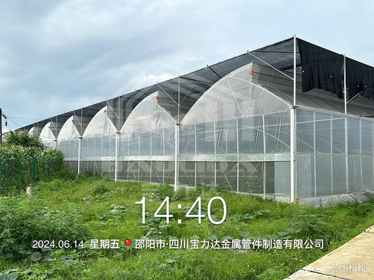 Hot Dip Galvanized Steel Pipe Rumah Kaca Rumah Kaca Terventilasi Plastik Sawtooth Multi-span Film Rumah Kaca Tropis