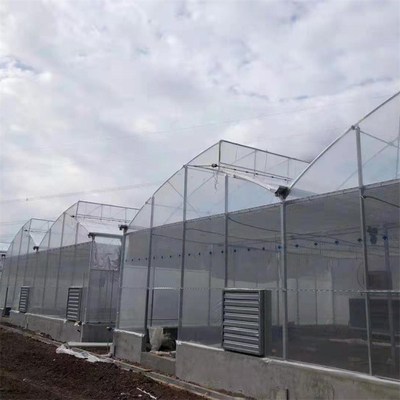 Hot Dip Galvanized Steel Pipe Rumah Kaca Rumah Kaca Terventilasi Plastik Sawtooth Multi-span Film Rumah Kaca Tropis