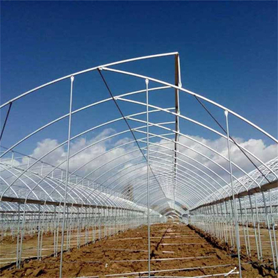 Hot Dip Galvanized Steel Pipe Rumah Kaca Rumah Kaca Terventilasi Plastik Sawtooth Multi-span Film Rumah Kaca Tropis
