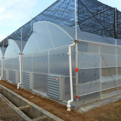Hot Dip Galvanized Steel Pipe Rumah Kaca Rumah Kaca Terventilasi Plastik Sawtooth Multi-span Film Rumah Kaca Tropis