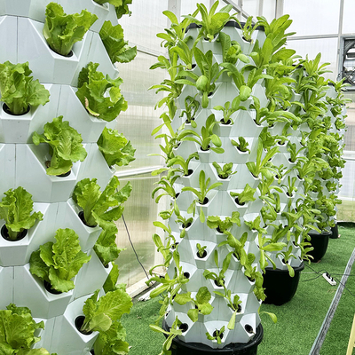 65L 12 Lapisan 96 Lubang Tanaman Sistem Pertanian Hidroponik Otomatis Dengan Menara Growart yang Dapat Dihapus