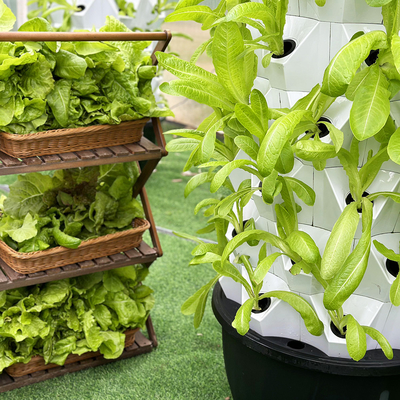 65L 6 Lapisan 48 Lubang Tanaman Hydroponic Tower Drip System Sesuaikan Nomor Lapisan untuk Efisiensi