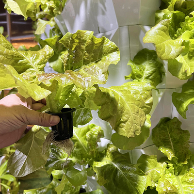 65L 6 Lapisan 48 Lubang Tanaman Hydroponic Tower Drip System Sesuaikan Nomor Lapisan untuk Efisiensi