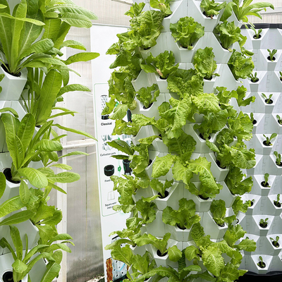 65L 6 Lapisan 48 Lubang Tanaman Hydroponic Tower Drip System Sesuaikan Nomor Lapisan untuk Efisiensi