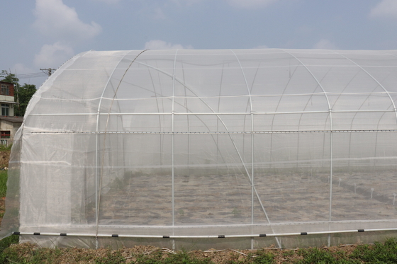 Polytunnel Sri Lanka Colombo Steel Frame Rumah Kaca Span Tunggal