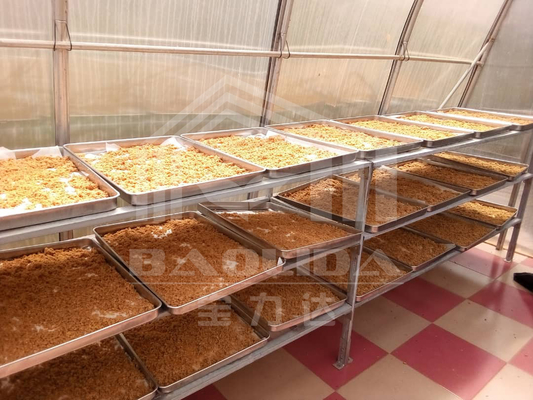 Papan Polycarbonate Chilli Drying Solar Greenhouse Dryer Untuk Sayuran Buah
