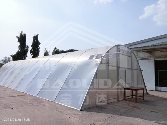 Drying Greenhouse dengan Perlindungan UV dan Ventilasi untuk Herbal Sayuran dan Buah